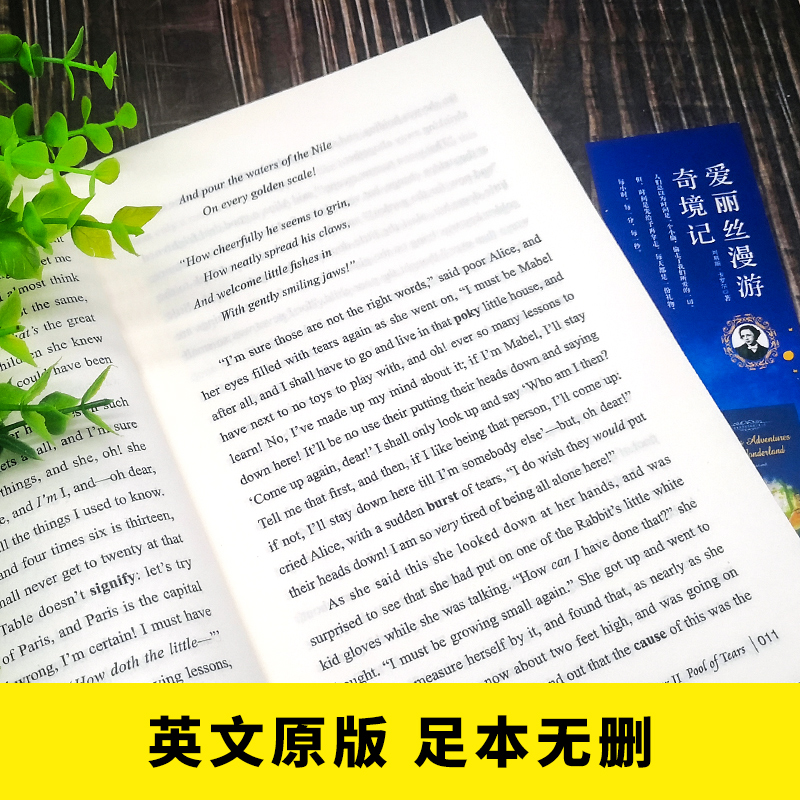 醉染图书爱丽丝漫游奇境记(附词汇注解)(英文版)9787511037558