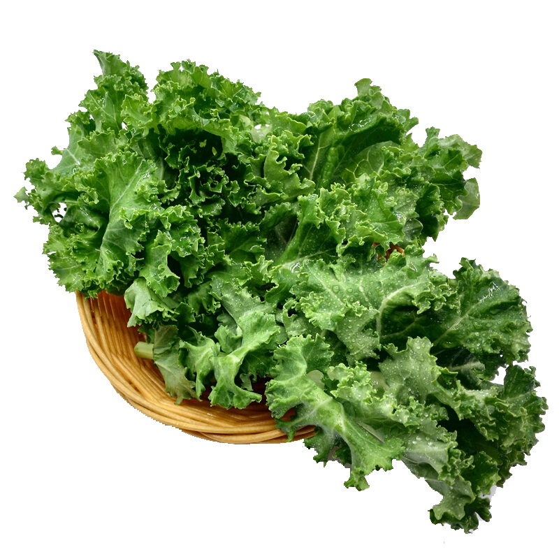 羽衣甘蓝500g新鲜蔬菜沙拉菜叶杜丹绿叶花包菜kale日天生鲜可开发票