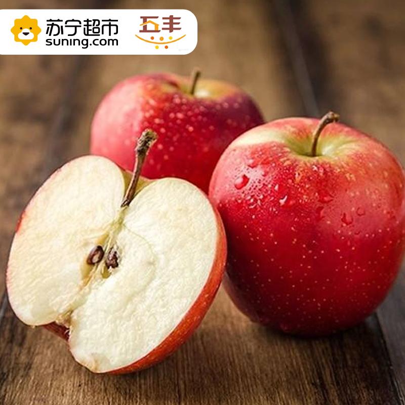 新西兰加力果(150克以上/单果)/12粒