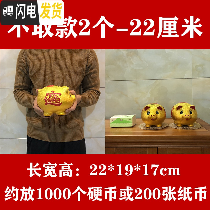 三维工匠储蓄罐储钱罐小猪只进不出大容量大人用家用儿童不可取 22厘米【再送一只22厘米】不可取