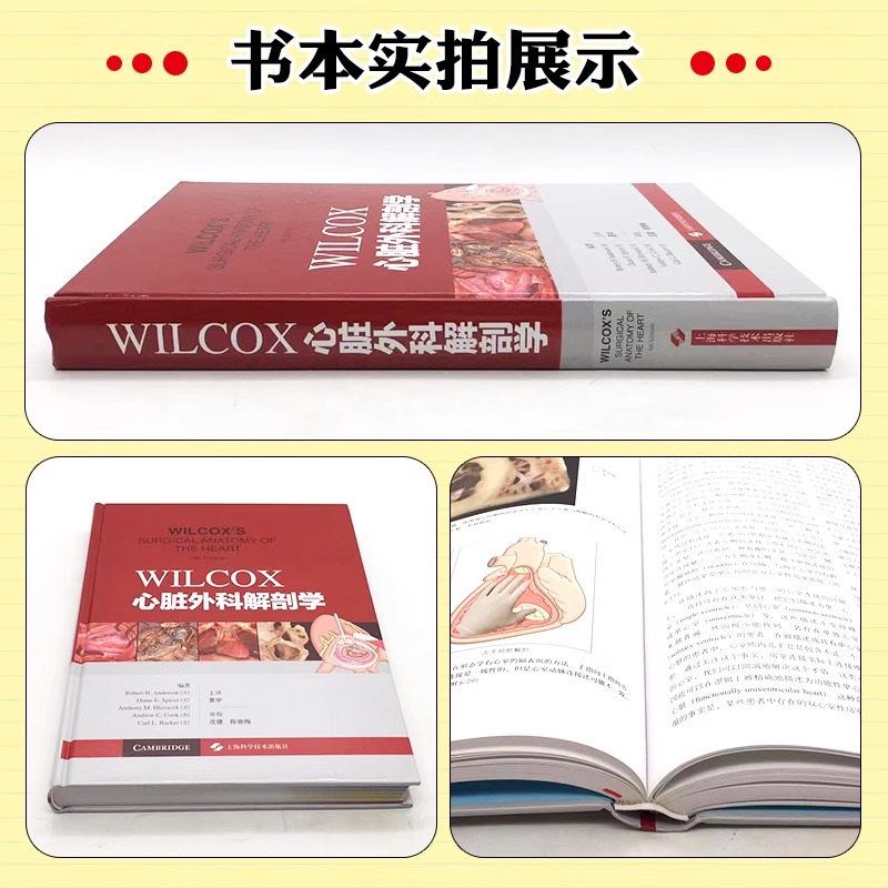 [正版]书WILCOX心脏外科解剖学 临床医学 西医 心脏外科解剖类图书中的经典著作 夏宇 译 上海科学技术出版社书籍高清大图