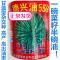 德兴油558甘蓝型早熟矮杆油菜种籽高产抗病秋冬榨油观花油菜籽种 美国高产油王油菜原厂彩包90克