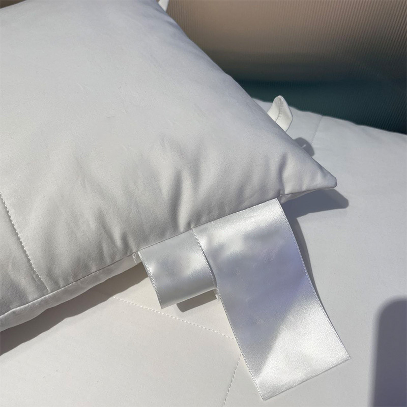 天山柔净眠润肤活套枕