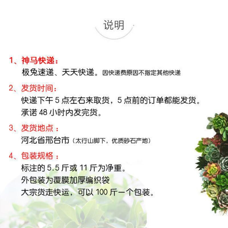 乌龟冬眠沙土生乌龟蛋孵化过冬天然河沙养乌龟产蛋宠物垫材沙子 常规优质河沙 5.5斤