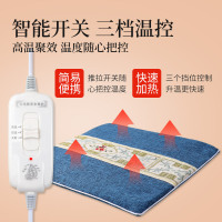 青源堂艾叶垫艾绒坐垫电加热艾草垫养生艾绒坐垫子办公室热敷臀部