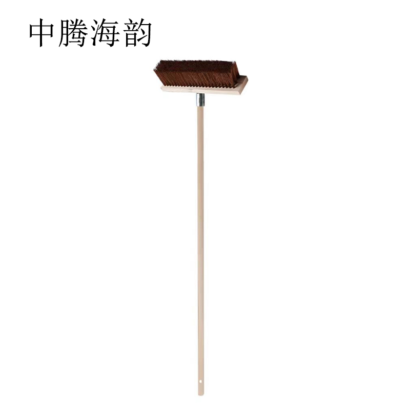 中腾海韵 棕毛地刷 27cm 个
