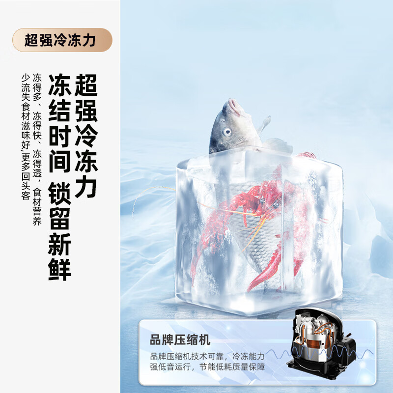 新飞(Frestec)185升家用小型冰箱双开门租房可用独立两门三温高效制冷冰箱BCD-185K2CT 185升高清大图