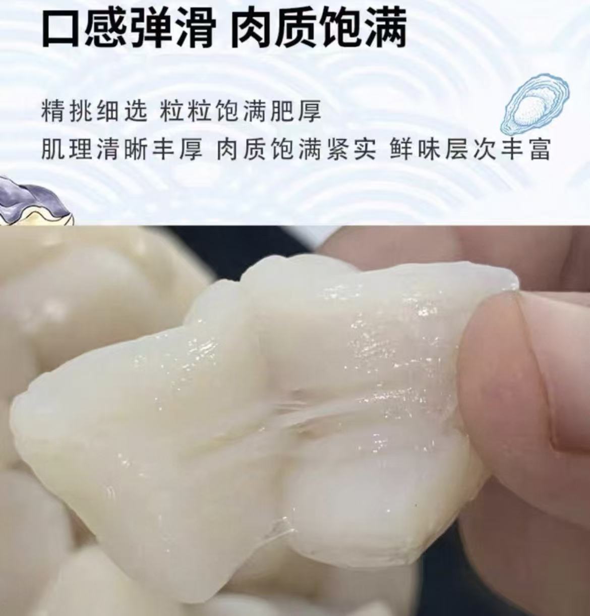 祈源鲜贝柱1000g营养丰富高清大图