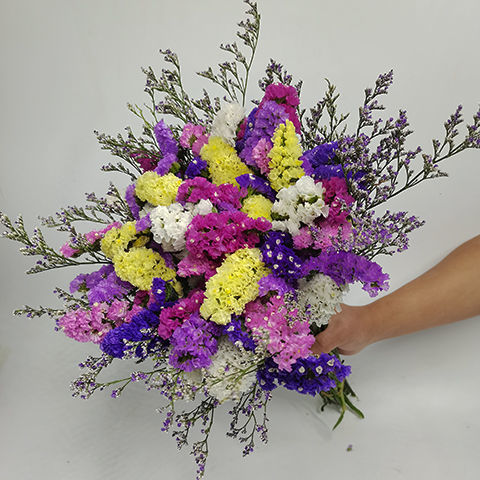 云南勿忘我干花花束 真花客厅装饰花束家居摆设小清新ins摆件装饰|33枝六色混配+情人草() 不带篮