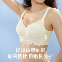 浪莎蚕丝内衣女小胸聚拢性感蕾丝美背防下垂收副乳无钢圈文胸DT
