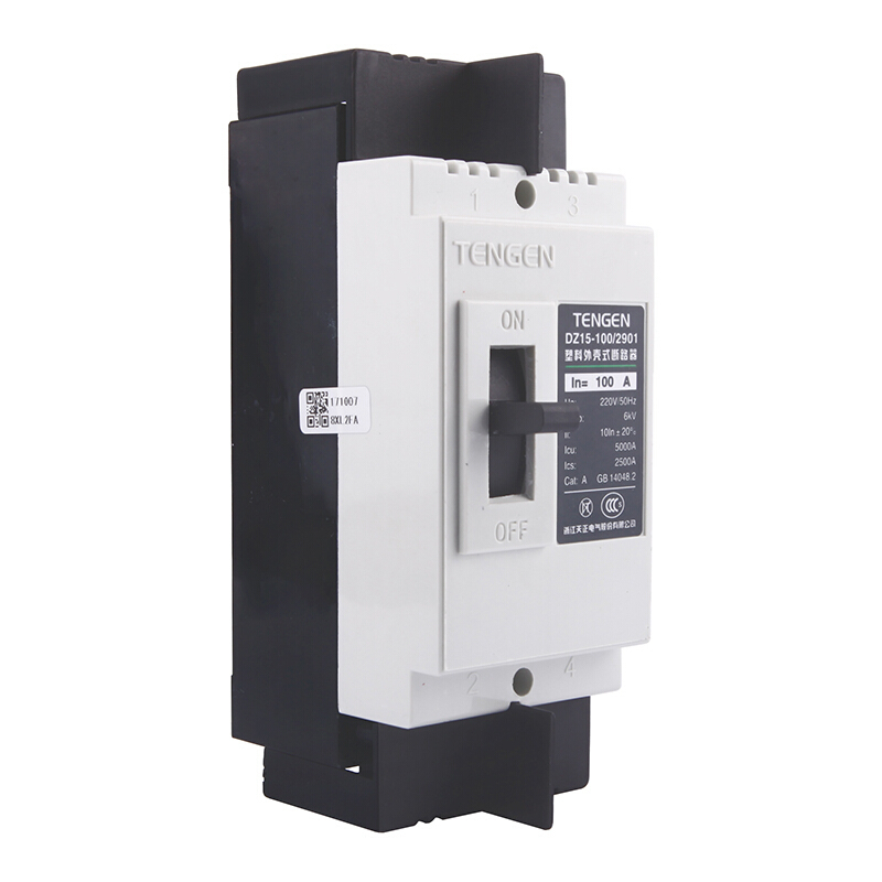 天正电气 DZ15-100 5KA 热磁式 100A 2P 手动 固定式 220V 01040030001 塑壳断路器
