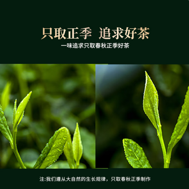 传百年茶叶 正味铁观音茶叶 精美礼盒包装 202g/盒(7.5g*27泡)高清大图