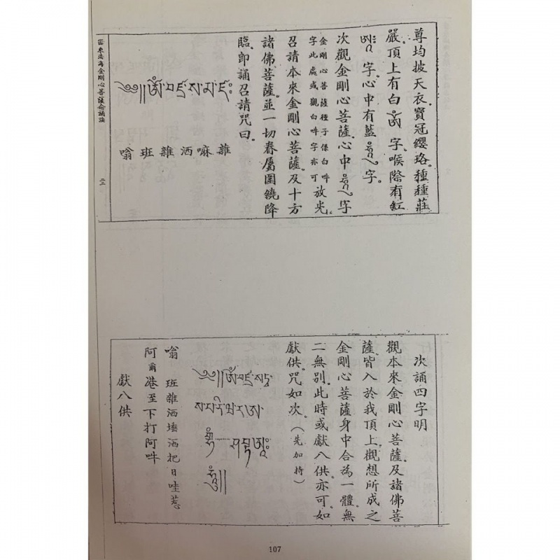 密乘法海 汇集了各派仪轨近千个