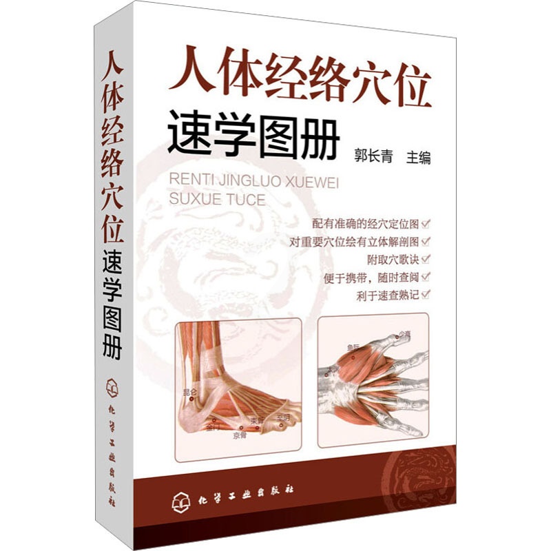 [正版]人体经络穴位速学画册 书籍 书店 化学工业出版社高清大图