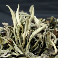 滇湘 云南白茶白牡丹 2022大树春茶 月光美人 云南月光白茶 300g 礼盒装 送礼佳品