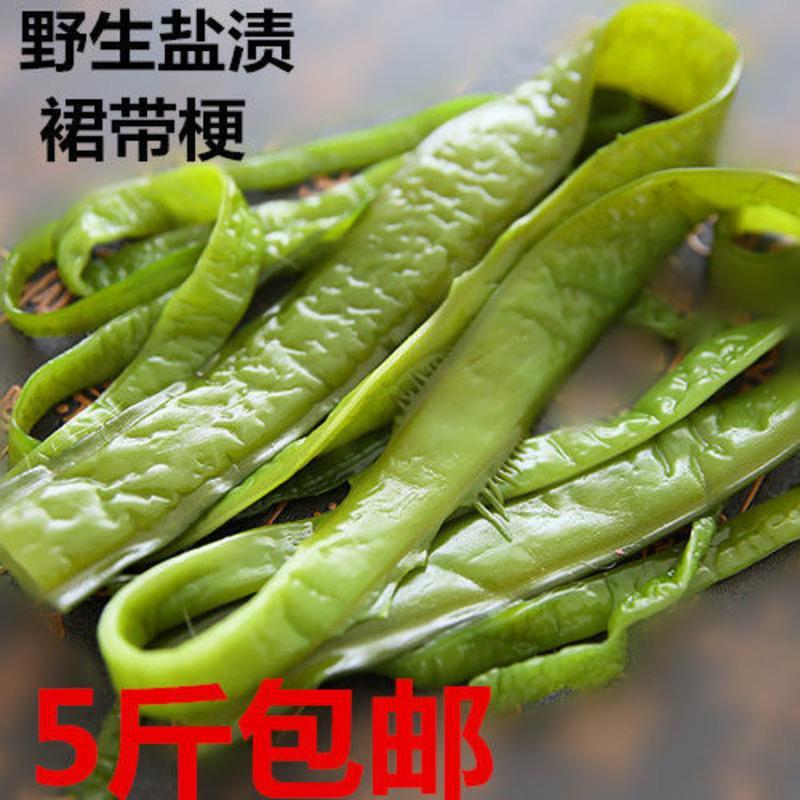 盐渍海白菜厚裙带梗新鲜 非干货梗段整箱批发 裙带菜