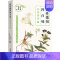[正版]药性歌括四百味白话讲记 7 曾培杰 编 中药学中医药物研究图书 医学类书籍 中国科学技术出版