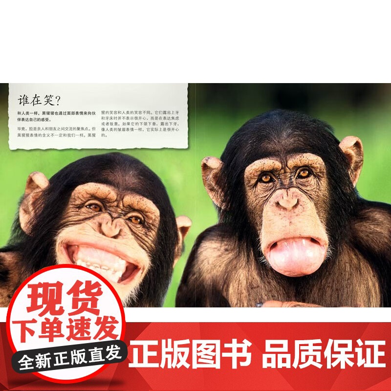 [正版] DK儿童野生动物行为小百科 英国DK公司 中国大百科出版社 9787500095590 科普百科 少儿 正高清大图