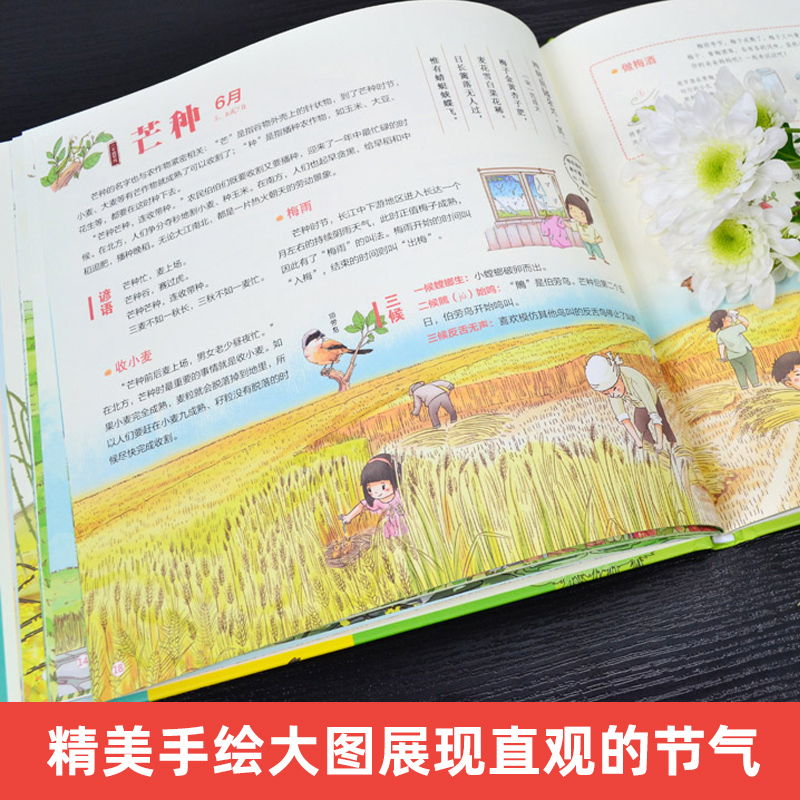 我们的身体 洋洋兔 [正版]30元任选3件我们的节气 画给孩子的二十四节气中国人原创手绘高清大图