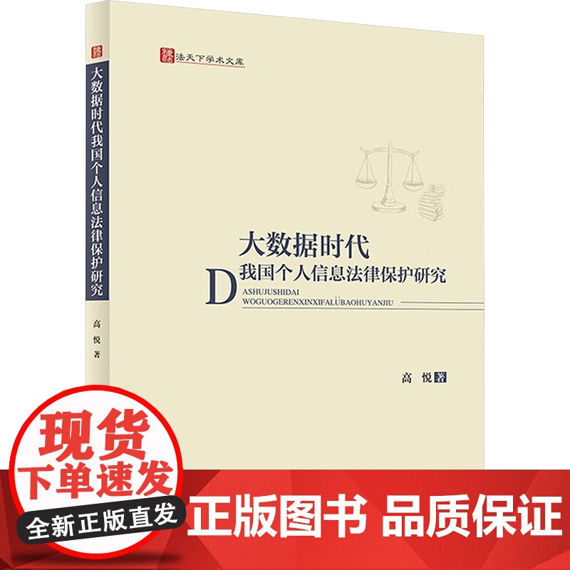 大数据时代我国个人信息法律保护研究 高悦 著 法学理论社科 正版图书籍 中国政法大学出版社高清大图