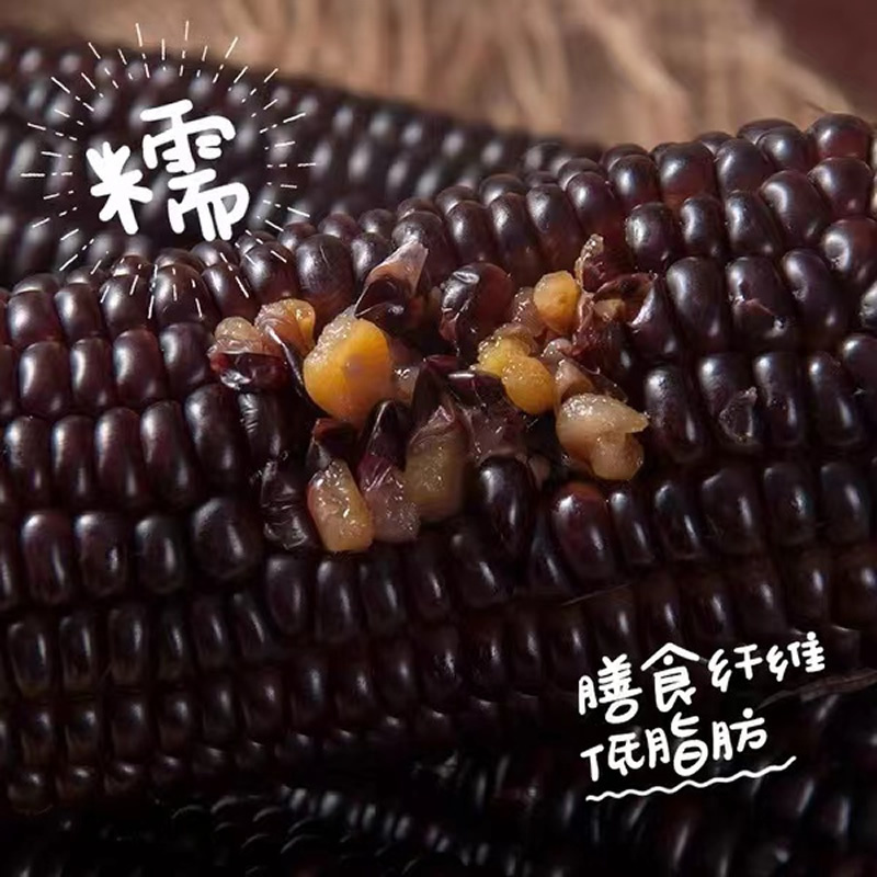 谷本粮农 黑糯玉米6根1.2kg 非转基因鲜食粘糯黑玉米棒 新鲜蔬菜