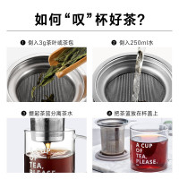 北鼎(BUYDEEM) 泡茶杯高硼硅玻璃CA1002 500ml灰羽色