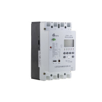 Sni 开关 SYM2EL-250C (单位:个)