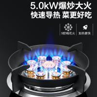 巧妙(QIAOMIAO)燃气灶天然气灶煤气灶双灶液化气灶家用定时灶具台式嵌入式9腔鸳鸯大火灶 394G-天然气自行安装