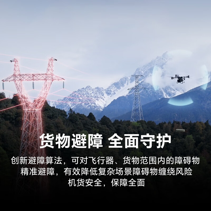 大疆FC100无人机 FlyCart100标准套装[含FC100+电池*2+降落伞+遥控器+吊运系统+充电站]提货卡高清大图