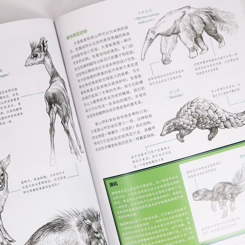 生物设计法则:解剖学×色彩×形态×比例 生物设计概念设计理游戏动漫场景CG插画设计书籍 生物设计艺术高清大图
