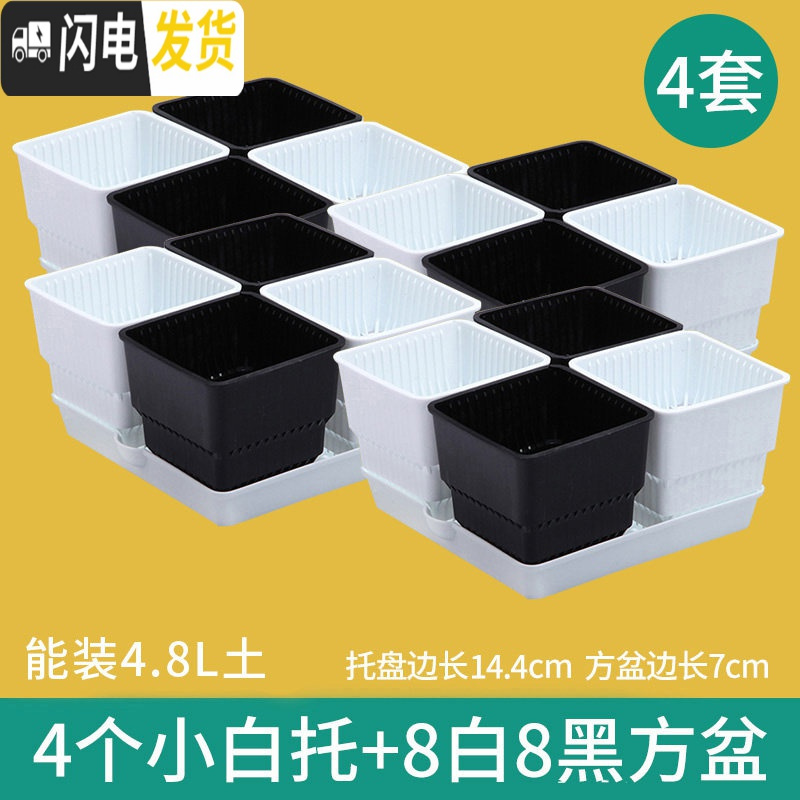 三维工匠多肉花盆带托盘肉肉套装组合透气塑料控根控型盆器特 [4套][5.7元]小白托+2黑2白盆(7cm盆) 小花盆容器