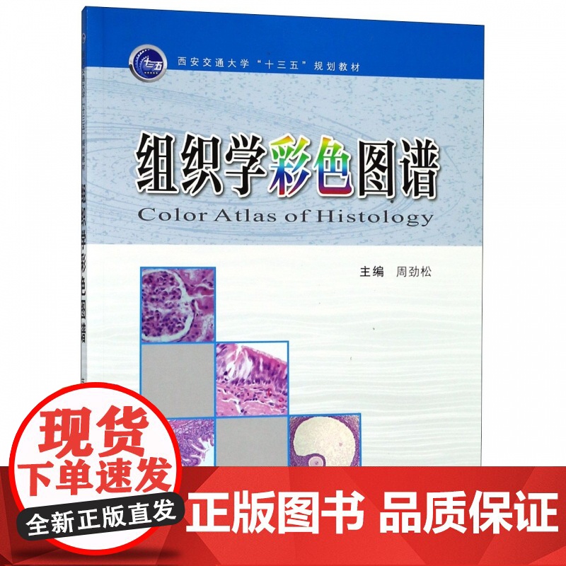 正版 组织学彩色图谱(西安交通大学“十三五”规划教材) 主编周劲松 西安交通大学出版社高清大图