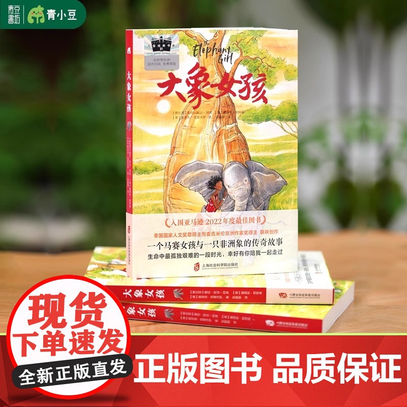 大象女孩 2024百班千人暑期书目小学生6年级名师 一个马赛女孩与一只非洲象的传奇故事女孩成长孤独艰难人与自然大奖作家高清大图