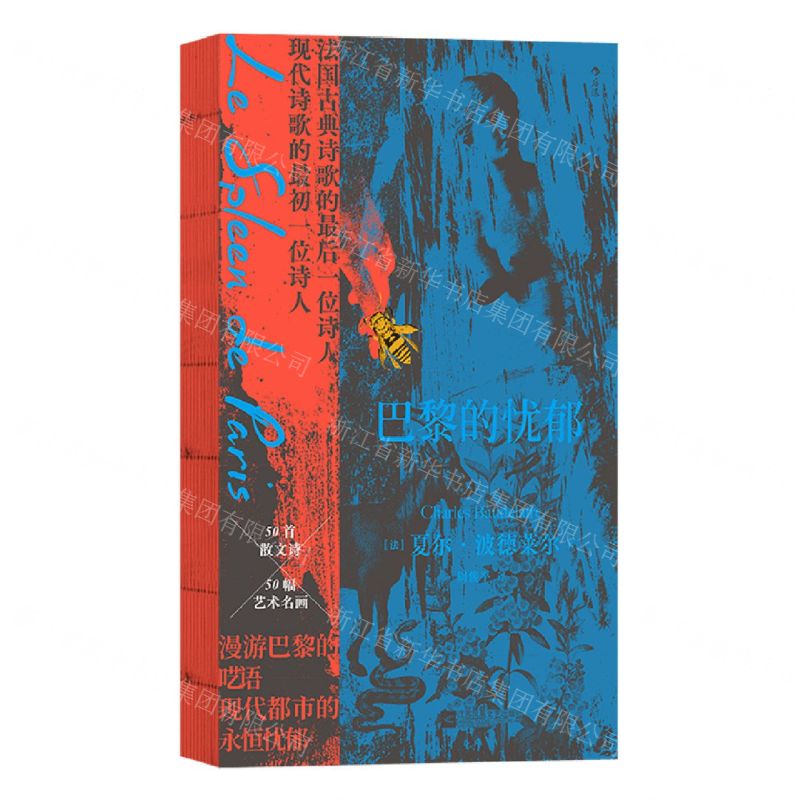 【N】巴黎的忧郁-9787559474193