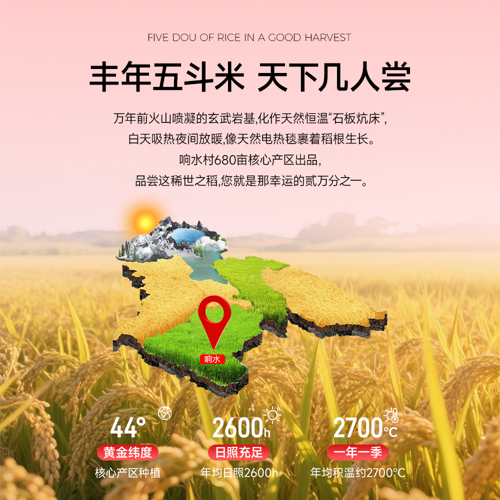 响水大米火山岩石板大米核心产区限定款5kg高清大图