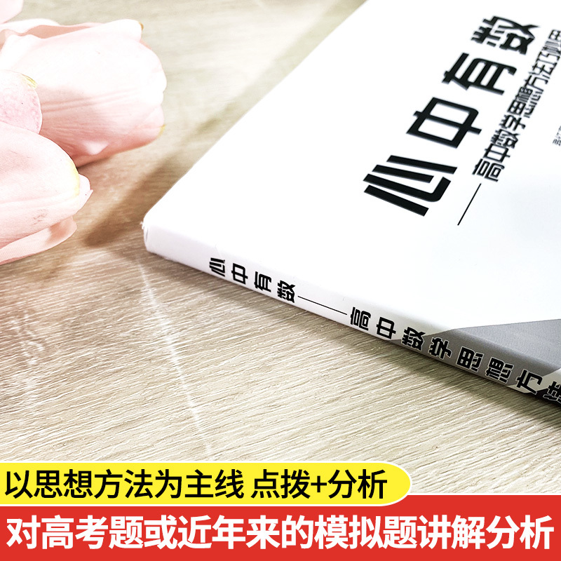 2024全国卷 数学思想方法 高中通用 [正版]2023新版 心中有数 高中数学思想方法巧妙用 配全国卷 杭高费红亮编