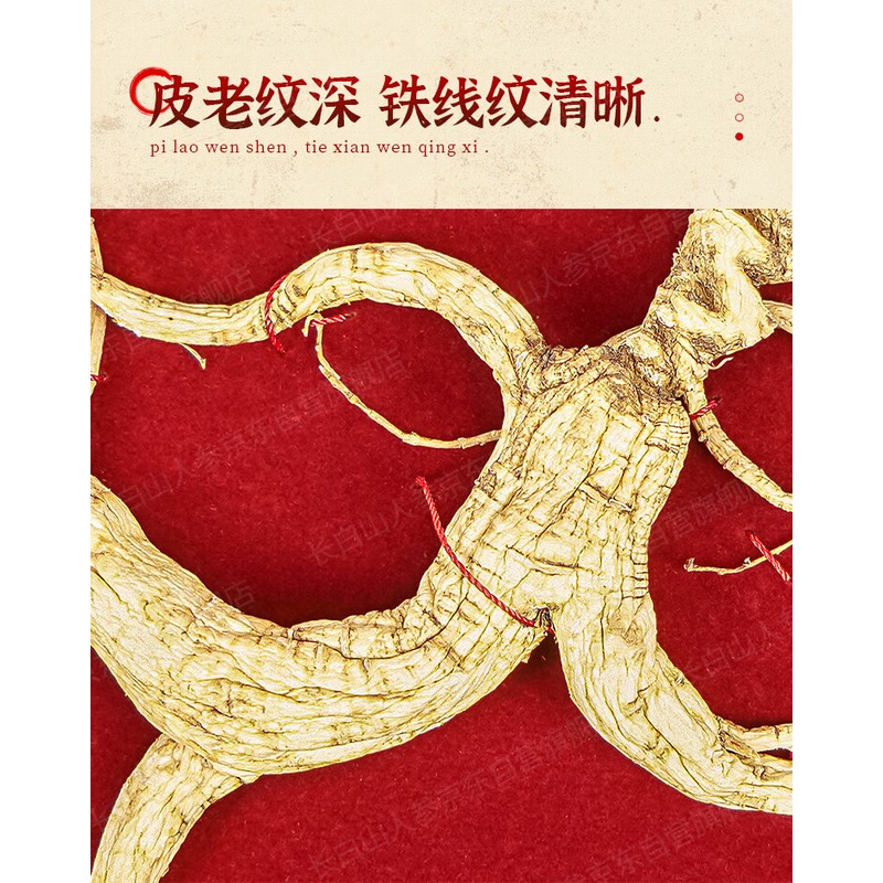 长白山人参 野山参A6(约20年以上) 证书:一等,20年以上 >14g/盒高清大图