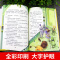 [全4册]三年级课外阅读 [正版]绿野仙踪+绿山墙的安妮+柳林风声+木偶奇遇记 小学生课外阅读书籍三四年级必读彩图原著老