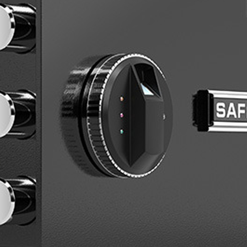 臻远 ZY40618087 小型保险柜密码保险箱全钢防盗保管箱 25cm黑色指纹密码款高清大图