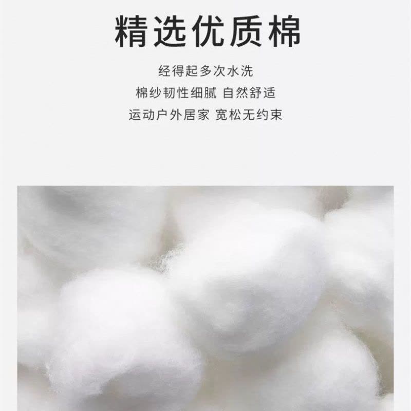 袜子男士短袜春夏四季船袜棉袜长筒吸汗图片