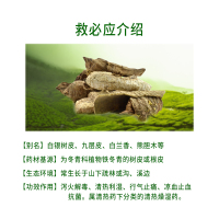 牙博士中药牙膏洁白去牙黄牙渍牙菌斑清火呵护牙龈清新口气125g
