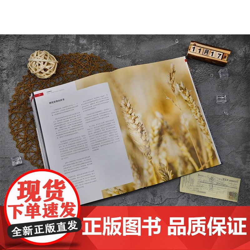 [央视网]烹饪的起源饮食文化历史的宝藏书旧石器时代和新石器时代饮食历史百科知识书斗牛犬餐厅补充美食爱好者菜谱餐饮业人士Y高清大图