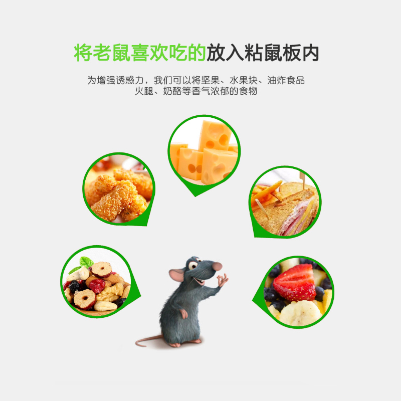 PATIA visionaries 帕蒂亚 绿叶粘鼠板|GL1003粘鼠板|固体 粘鼠板