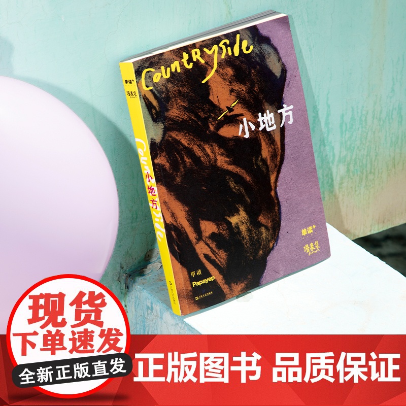正版 小地方 单读PLUS漫象集特约主编杨成桦Papayep工作室联合独立漫画记录乡村县城变化上海文艺出版社单向空间高清大图