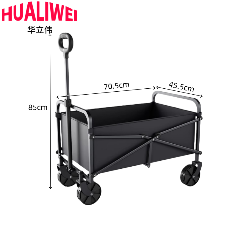 华立伟车6高清大图