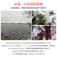【酒厂自营】莫高启宇冰白葡萄酒冰酒甜型500ml*2低度数白葡萄酒
