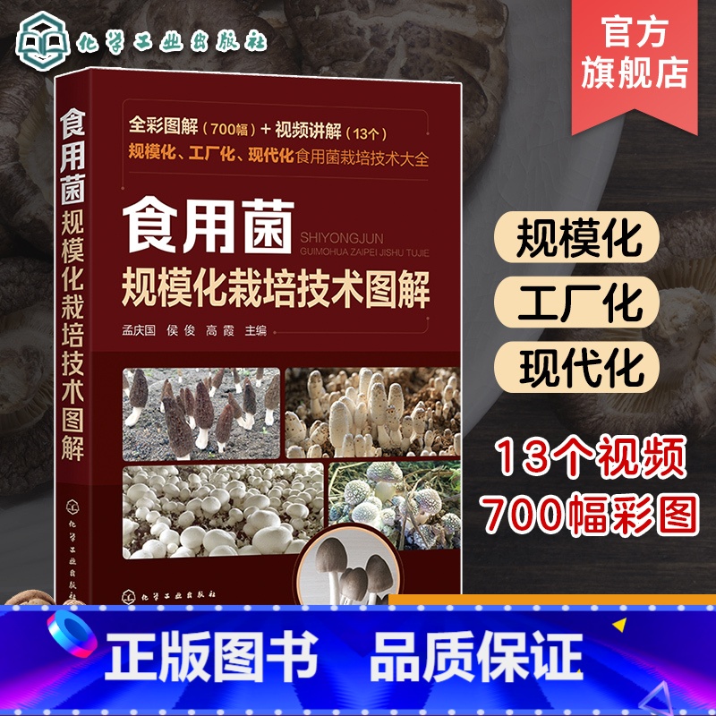 【正版】食用菌规模化栽培技术图解700幅 食用菌工厂化栽培食用菌规模栽培 鸡腿菇球盖菇 食用菌病害防治食用菌规模化农业