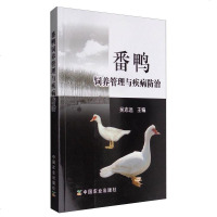 SK【中国农业出版社 正版 】 番鸭饲养管理与疾病防治 吴志远 畜牧、养殖书籍 农业肉禽养殖方法书 家禽大规模养殖
