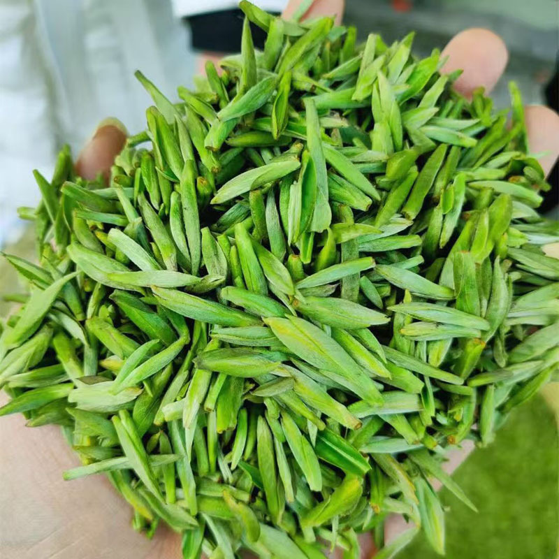 乾乐园 特级绿茶毛尖125g 罐