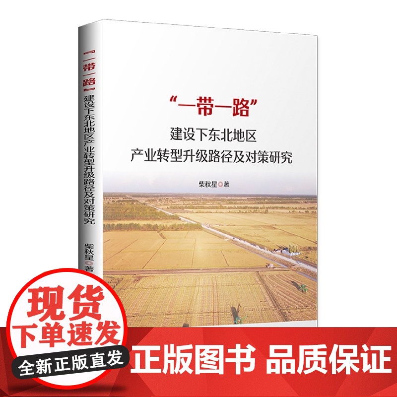 “一带一路”建设下东北地区产业转型升级路径及对策研究高清大图
